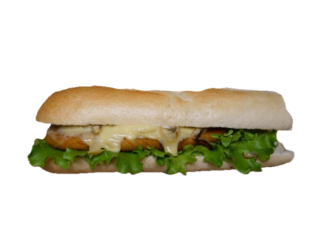 BROODJE KIP SCHNITZEL DUITSLAND