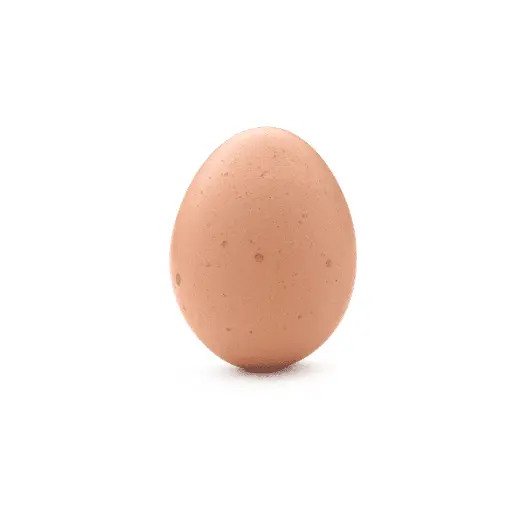 GEKOOKT EI